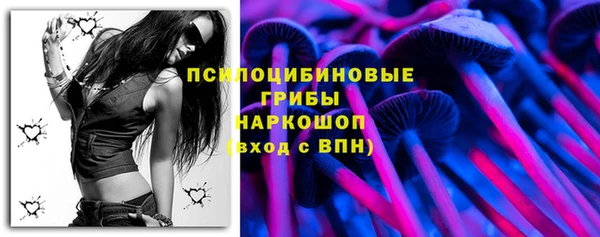 ECSTASY Алзамай