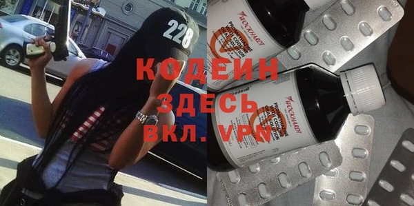 ECSTASY Алзамай