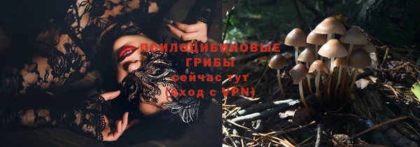 ECSTASY Алзамай