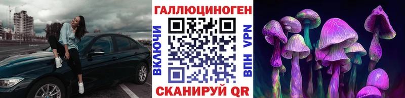 Псилоцибиновые грибы Psilocybe Ижевск